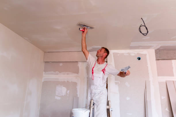 Best Eco-Friendly and Low-VOC Painting  in Fussels Corner, FL